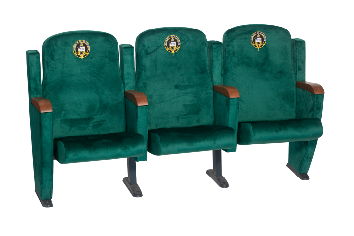 ampthitheater seats, lecture hall seats, university seats, conference seats